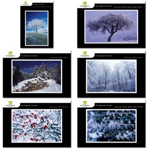 Lot de 6 cartes postales - hiver 1 - photos frédéric engel