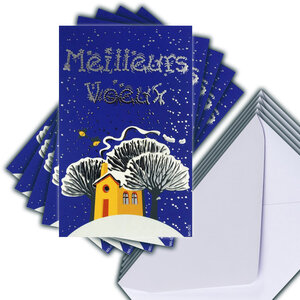LOT 5 Cartes Meilleurs Vœux + 5 Enveloppes 14x9cm