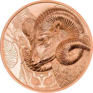 Monnaie MAGNIFICENT ARGALI Ram Copper 250 Togrog Mongolia 2022 (PRÉCOMMANDE)