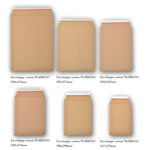 Lot de 100 enveloppes carton wellbox 1 format 176x270 mm