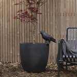 Capi Jardinière Urban Smooth 35x34 cm noir KBL932