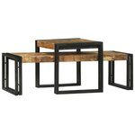 vidaXL Ensemble de 2 Tables Basses en Bois Massif de Manguier