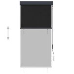 vidaXL Store roulant d'extérieur 80 x 250 cm Anthracite
