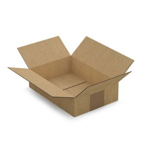 5 cartons d'emballage 21.5 x 15 x 5 5 cm - Simple cannelure