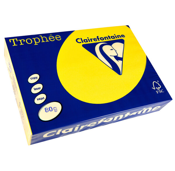 Ramette 500 Feuilles Papier 80g A4 210x297 mm Certifié FSC jaune soleil CLAIREFONTAINE