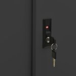 vidaXL Armoire à portes coulissantes avec jardinière Anthracite Acier