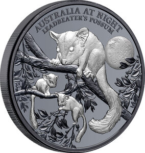 Pièce de monnaie en argent 1 dollar g 31.1 (1 oz) millésime 2022 australia at night leadbeater possum