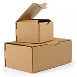 Boîte postale carton fond automatique avec fermeture adhésive 25 x 15 x 10 cm – (100 unités) – Bulteau Systems