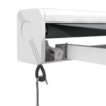 vidaXL Auvent rétractable anthracite 3 5x2 5 m tissu et aluminium