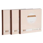 Lot De 3 Manifolds Commandes - Papier Autocopiant - Duplicata (1 Original Et 1 Copie) - 50 Feuilles - Format 21 X 21 Cm - Couverture Vernie - Avoine - X 12 - Le Dauphin
