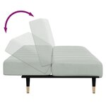 vidaXL Canapé-lit à 2 places avec repose-pied gris clair velours