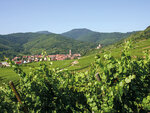 SMARTBOX - Coffret Cadeau Visite de cave et dégustation de vins d'Alsace dans un domaine près de Colmar -  Gastronomie