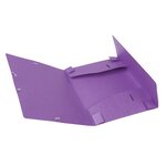 Boite De Classement Cartobox Dos 40mm Carte Lustrée - A4 - Violet - X 10 - Exacompta