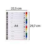 Intercalaires Imprimés Mensuels Pp Couleurs Janv-décembre - A4 - Couleurs Assorties - X 20 - Exacompta