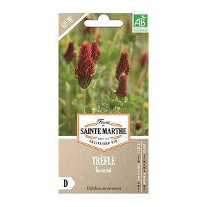 Graines à semer - Trèfle bio