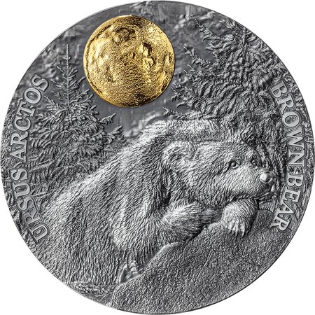 Brown bear wildlife in the moonlight 2 once silver monnaie 5 dollars niue 2023