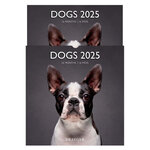 Grand Calendrier Mural 29x29  cm - 2025 - Chiens 2025 - Draeger