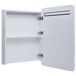 vidaXL Armoire de salle de bain à miroir LED 60x11x80 cm