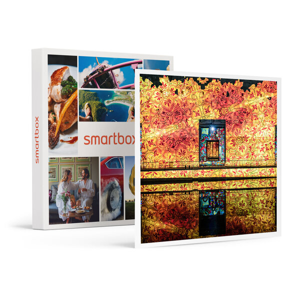 SMARTBOX - Coffret Cadeau Découverte en famille des Bassins des Lumières à Bordeaux : entrée pour 2 adultes et 1 jeune -  Sport & Aventure