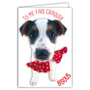Carte Tu me fais craquer BISOUS Message Humoristique avec Enveloppe Illustrée format 17 5x12cm Chien Drôle Amusant Rigolo Déguisé avec un Nœud Papillon à poids Création Fabrication française 69-6219