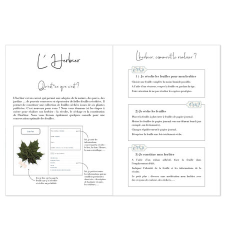 Notebook - Carnet - Herbier