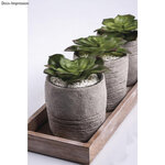 Plante Grasse Succulente Artificielle Echeveria 8 5 x 3 5 cm