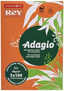 Ramette 100 feuilles x 5 teintes ADAGIO 80g format A4 Assortis intenses PAPETERIES DE FRANCE