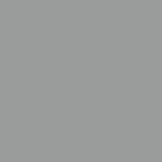 vidaXL Abri de jardin avec toit prolongé gris clair 277x110 5x181 cm