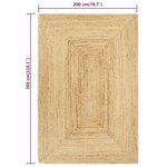 vidaXL Tapis fait à la main Jute 200x300 cm