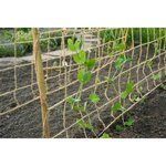 Nature Filet pour plantes grimpantes en jute 1 8x5 m naturel