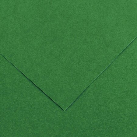 Paquet de 10 feuilles de papier Colorline CANSON 50 x 65 cm 150 g vert mousse