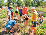 SMARTBOX - Coffret Cadeau Atelier écologique de permaculture et visite guidée d'une ferme à Montpellier -  Sport & Aventure