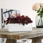 LECHUZA Jardinière CUBE Glossy Triple ALL-IN-ONE Blanc brillant