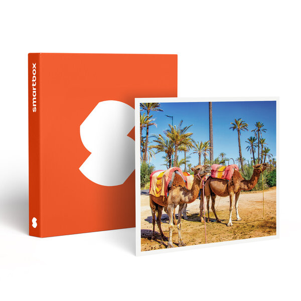 SMARTBOX - Coffret Cadeau 3 jours en riad avec hammam et excursion en dromadaire dans la Palmeraie de Marrakech - Séjour