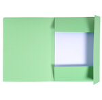 Chemise Imprimées 3 Rabat 280g FOREVER Vert x 50 EXACOMPTA