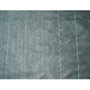 Nature Bâche de sol de contrôle des mauvaises herbes 4 2x5 m Noir