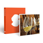 SMARTBOX - Coffret Cadeau Visite œnologique avec cours dégustation de vins et 3 bouteilles à emporter près de Nantes - Gastronomie