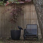 Capi Jardinière Urban Smooth 35x34 cm noir KBL932