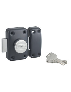 THIRARD - Verrou à bouton Transit 2 pour porte d'entrée  cylindre 40mm  4 clés  époxy anthracite