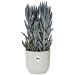 Pot de fleurs Rond VIBES - Plastique - Ø 25 x 23 cm - Blanc/Blanc soie