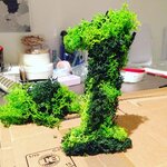 Mousse d'Islande Vert foncé 100 g