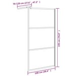 vidaXL Paroi de douche 100x195 cm Verre ESG demi-dépoli Noir