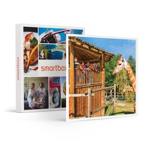 SMARTBOX - Coffret Cadeau Entrée au Parc Bellewaerde en 2024 pour 2 adultes et 1 enfant -  Sport & Aventure