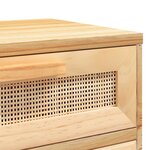 vidaXL Tables de chevet 2 Pièces Marron Bois pin massif et rotin naturel