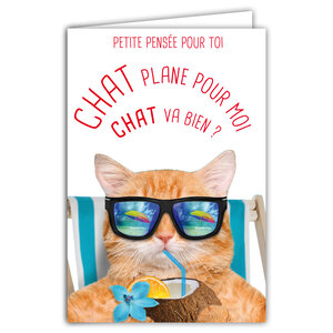 Carte Petite PENSÉE pour toi Message Humoristique avec Enveloppe Illustrée format 17 5x12cm Chat plane pour moi Chat va Transat Cool Relax Drôle Amusant Rigolo Création Fabrication française 69-6221