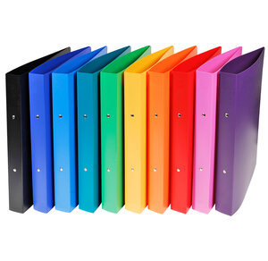 Classeur 2 anneaux 30 mm polypropylène Opaque - A4 maxi couleurs aléatoires x 20 EXACOMPTA