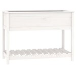 vidaXL Jardinière avec étagère Blanc 111 5x54x81 cm Bois massif de pin