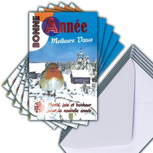 Lot 5 cartes meilleurs vœux rouge brillant + 5 enveloppes blanches format 14x9cm