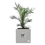 Vivo Next Square 40 Bac à fleurs - Gris Ø 39 x 38 cm - 100  recyclé