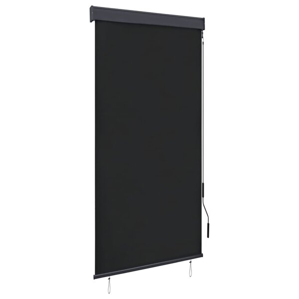 vidaXL Store roulant d'extérieur 80 x 250 cm Anthracite